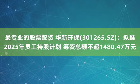 最专业的股票配资 华新环保(301265.SZ)：拟推2025年员工持股计划 筹资总额不超1480.47万元